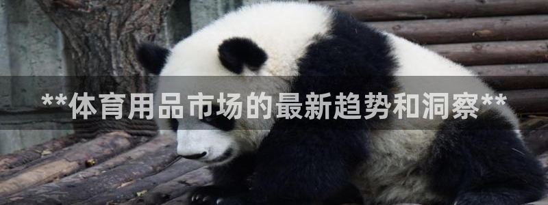 欧陆娱乐怎么注册会员账号啊：**体育用品市场的最新趋