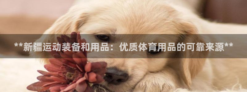 欧陆娱乐出款：**新疆运动装备和用品：优质体育用品的