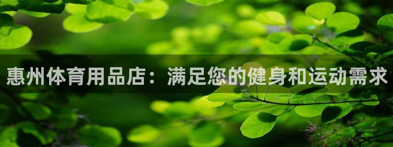 欧陆娱乐是那个旗下的品牌：惠州体育用品店：满足您的健