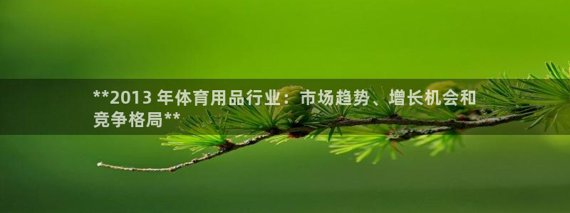 欧陆娱乐有风险吗：**2013 年体育用品行业：市场