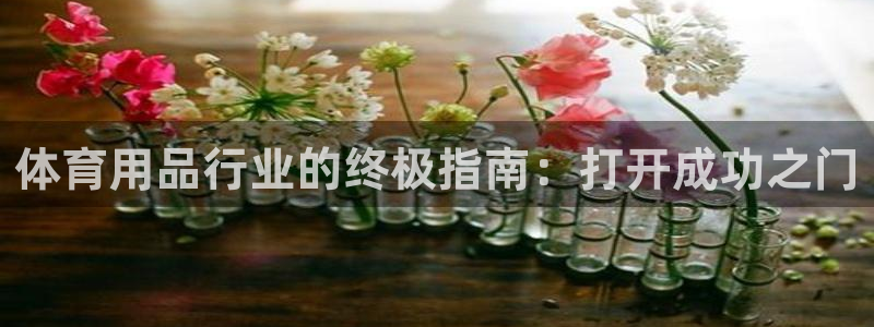 欧陆娱乐的故事：体育用品行业的终极指南：打开成功之门
