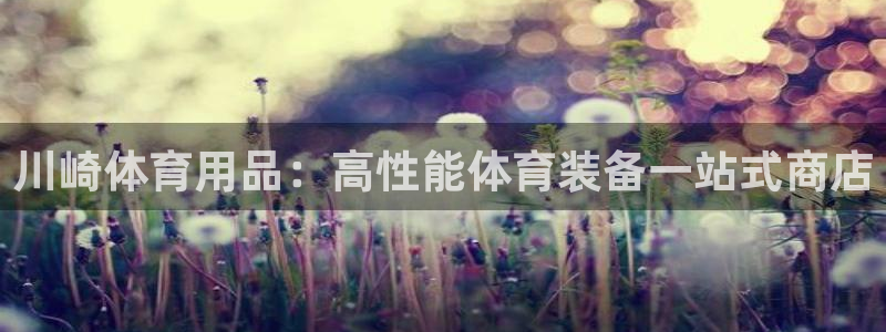 欧陆娱乐累计盈利多少就会被劝退呢：川崎体育用品：高性