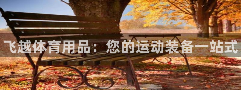欧陆娱乐怎么注册会员号：飞越体育用品：您的运动装备一