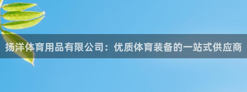 欧陆娱乐平台登陆地址是什么意思：扬洋体育用品有限公司