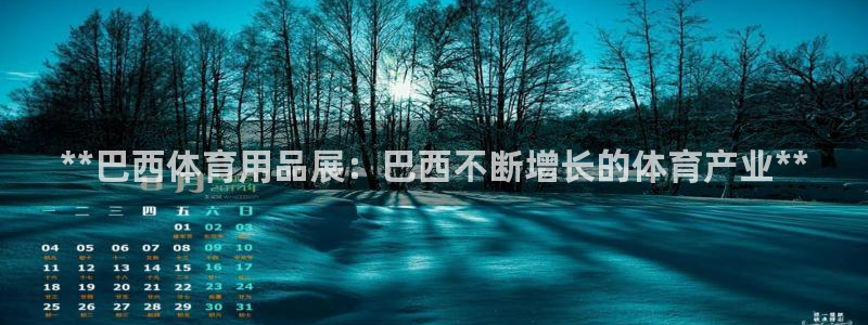 欧陆娱乐公司产品介绍大全：**巴西体育用品展：巴西不
