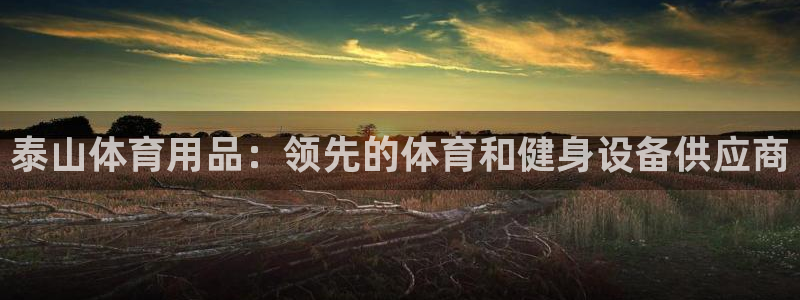 欧陆娱乐官网下载安装最新版本：泰山体育用品：领先的体