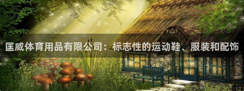 欧陆娱乐官网首页网址：匡威体育用品有限公司：标志性的