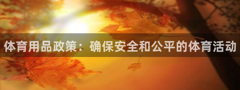 欧陆娱乐平台登陆地址是什么：体育用品政策：确保安全和