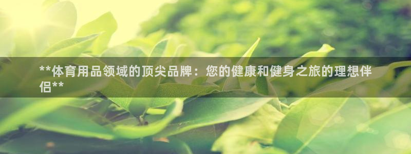 欧陆娱乐平台咋样赚钱：**体育用品领域的顶尖品牌：您
