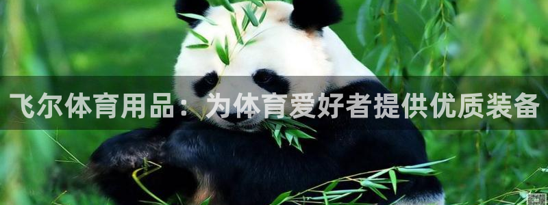 欧陆娱乐平台毕 (q—43314) 旨：飞尔体育用品