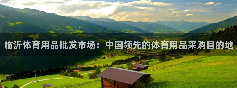 欧陆娱乐提现多久到账：临沂体育用品批发市场：中国领先
