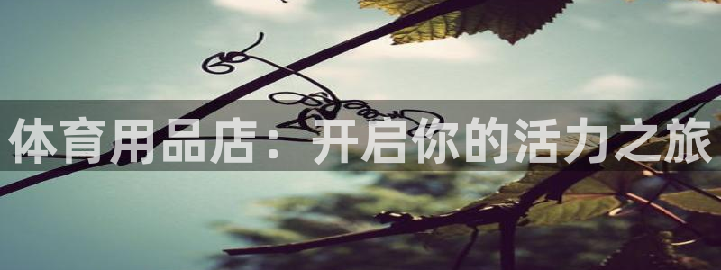 欧陆娱乐公司产品介绍大全：体育用品店：开启你的活力之