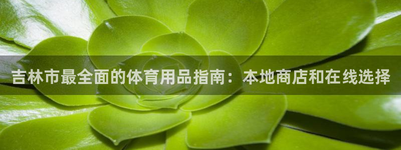 欧陆娱乐app攻略下载：吉林市最全面的体育用品指南：