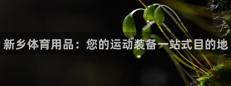欧陆娱乐怎么样：新乡体育用品：您的运动装备一站式目的