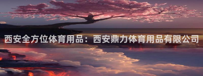 欧陆娱乐系统教程：西安全方位体育用品：西安鼎力体育用