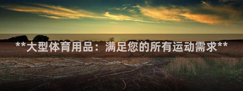欧陆娱乐不让提现：**大型体育用品：满足您的所有运动