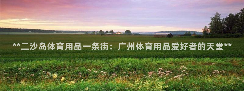 欧陆娱乐有限公司怎么样：**二沙岛体育用品一条街：广