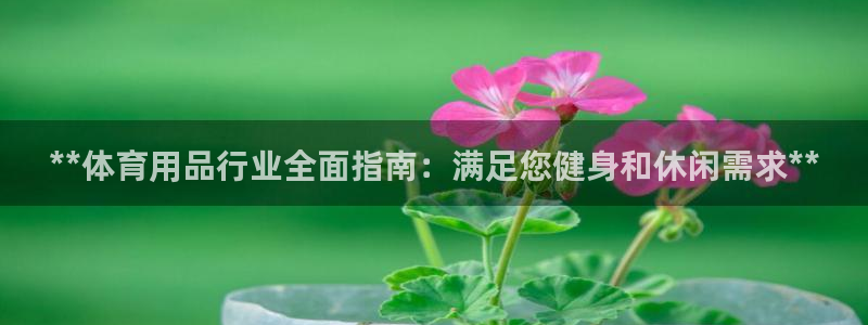 欧陆娱乐怎么注册账号啊：**体育用品行业全面指南：满