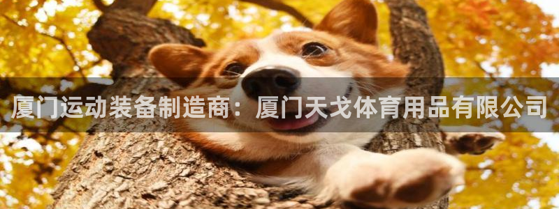 欧陆娱乐测速：厦门运动装备制造商：厦门天戈体育用品有