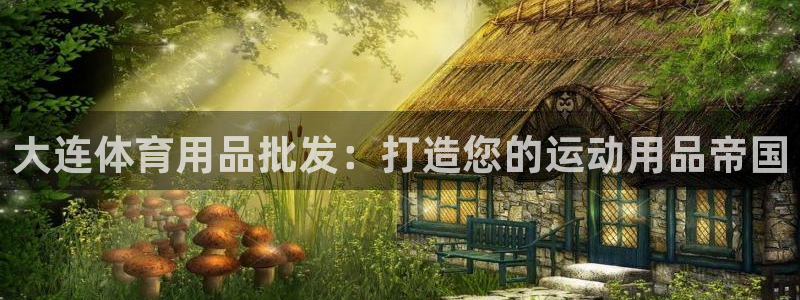 欧陆娱乐app下载安装：大连体育用品批发：打造您的运