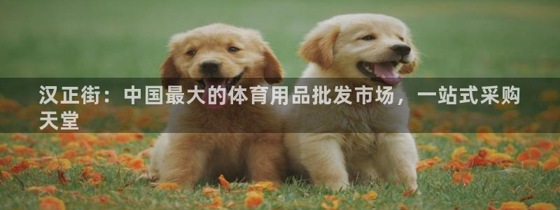 欧陆娱乐脚本怎么用：汉正街：中国最大的体育用品批发市