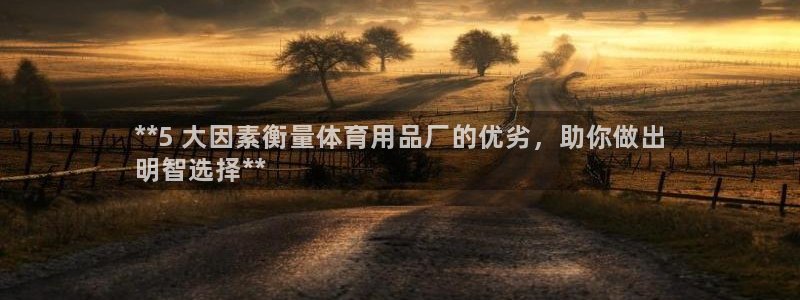欧陆娱乐打什么方案：**5 大因素衡量体育用品厂的优