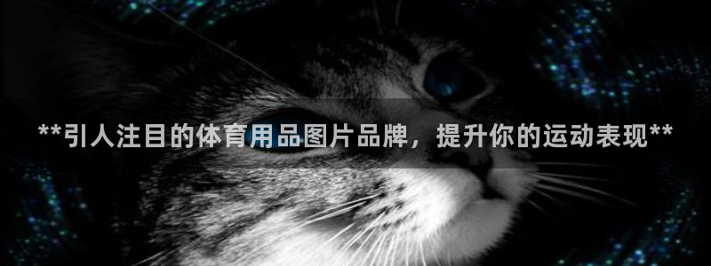 欧陆娱乐app下载安装：**引人注目的体育用品图片品
