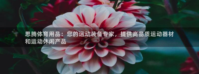 欧陆娱乐app下载：思腾体育用品：您的运动装备专家，