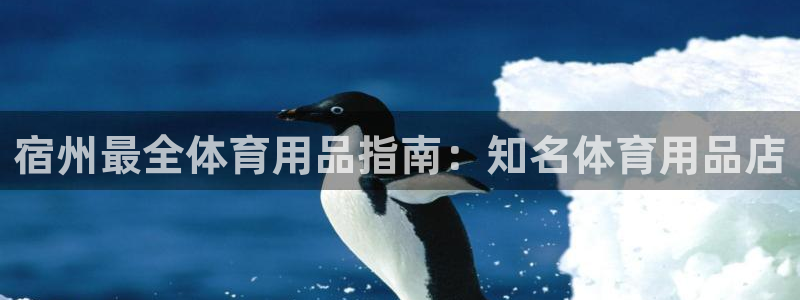 欧陆娱乐讲7O777：宿州最全体育用品指南：知名体育