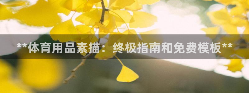 欧陆娱乐代理 贴吧官网：**体育用品素描：终极指南和