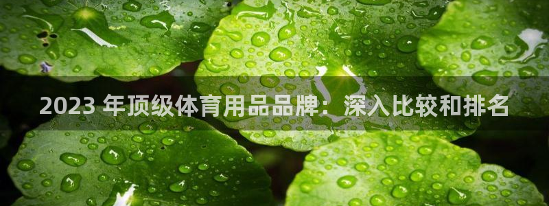 欧陆注册码：2023 年顶级体育用品品牌：深入比较和
