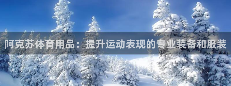 欧陆娱乐登录测速软件：阿克苏体育用品：提升运动表现的