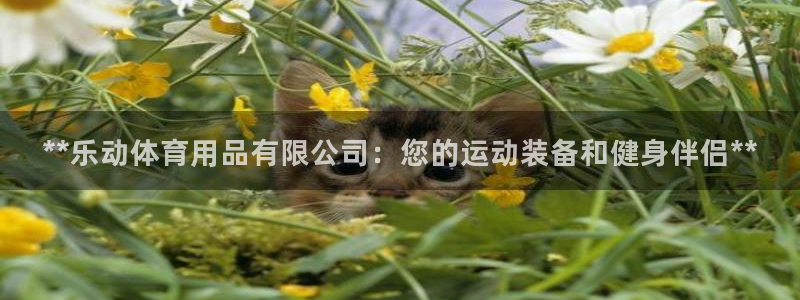 欧陆娱乐不让提现怎么办：**乐动体育用品有限公司：您
