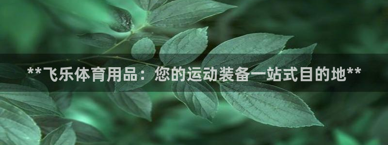 欧陆娱乐挂机项目：**飞乐体育用品：您的运动装备一站
