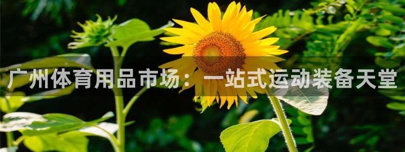 欧陆娱乐百科百度：广州体育用品市场：一站式运动装备天