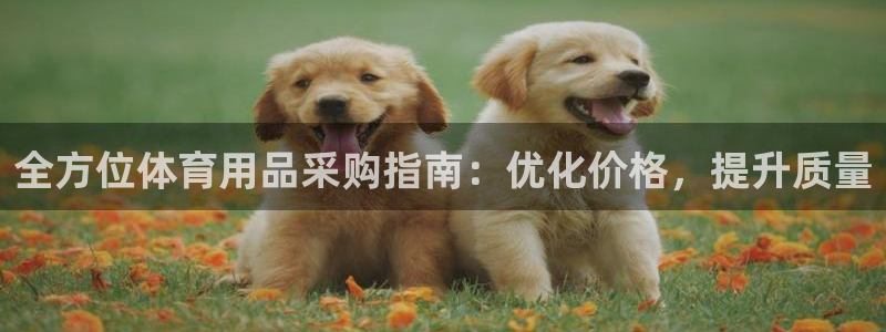 欧陆娱乐app打不开怎么回事儿：全方位体育用品采购指