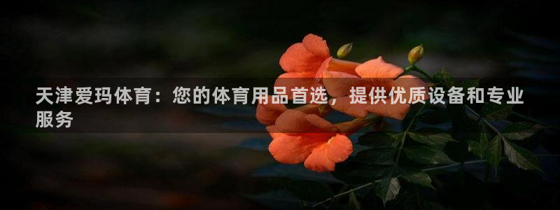 欧陆娱乐平台登录不上去怎么办：天津爱玛体育：您的体育