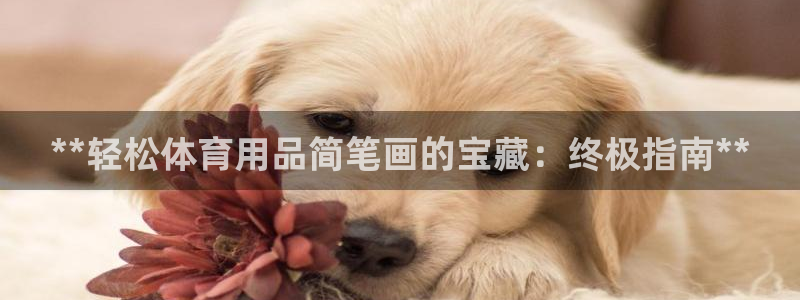 欧陆娱乐登录注册平台官网：**轻松体育用品简笔画的宝