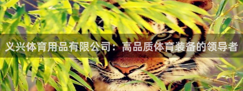 欧陆娱乐信誉吗：义兴体育用品有限公司：高品质体育装备