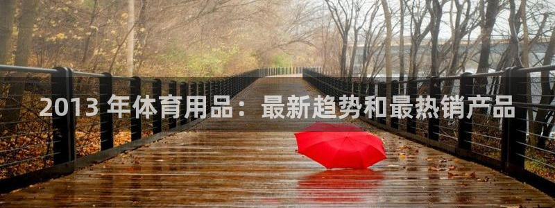 欧陆娱乐平台登陆地址是什么：2013 年体育用品：最