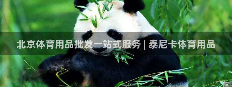 欧陆娱乐怎么注册会员：北京体育用品批发一站式服务 |