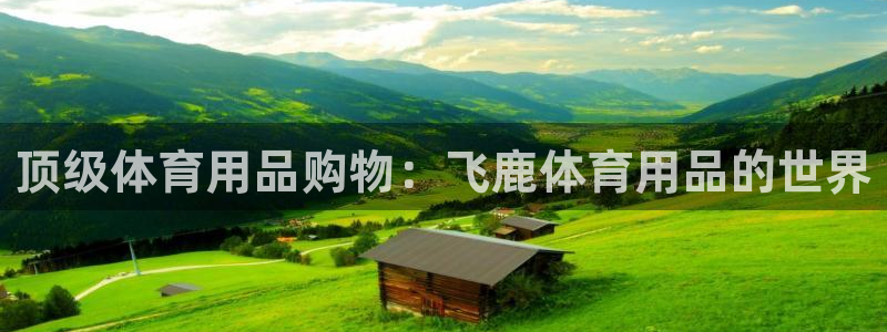 欧陆娱乐官网网址是多少：顶级体育用品购物：飞鹿体育用