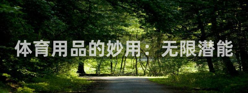 欧陆娱乐脚本怎么下载：体育用品的妙用：无限潜能