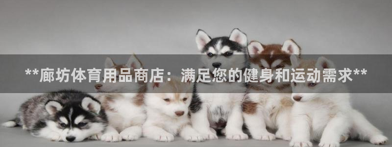 欧陆娱乐官方网站：**廊坊体育用品商店：满足您的健身