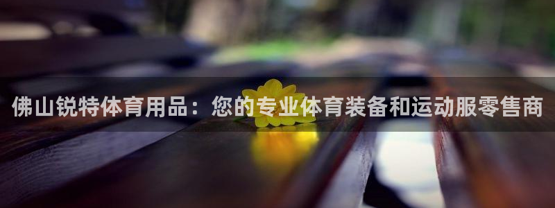 欧陆娱乐官方网站下载：佛山锐特体育用品：您的专业体育