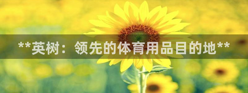 欧陆娱乐平台官网：**英树：领先的体育用品目的地**