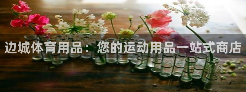 欧陆娱乐稳中：边城体育用品：您的运动用品一站式商店
