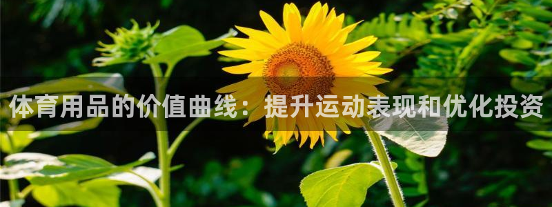 重庆欧陆娱乐有限公司怎么样：体育用品的价值曲线：提升