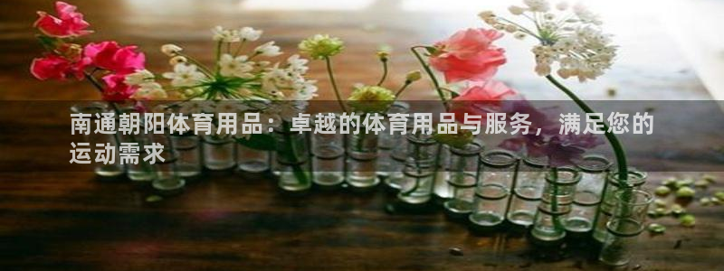欧陆娱乐计划预测软件：南通朝阳体育用品：卓越的体育用