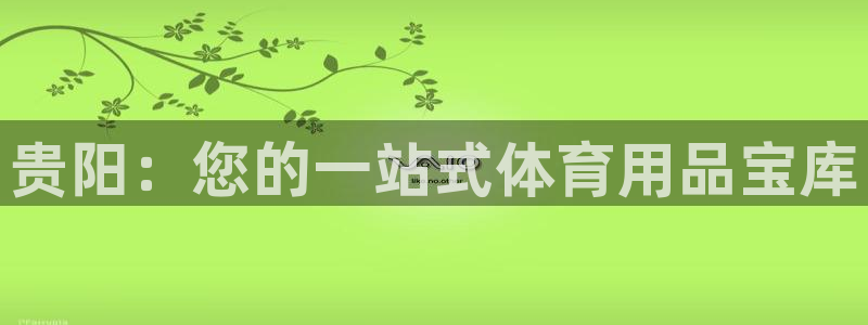 欧陆娱乐app攻略大全：贵阳：您的一站式体育用品宝库